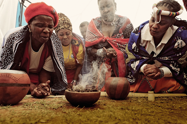 Traditional African Herbs